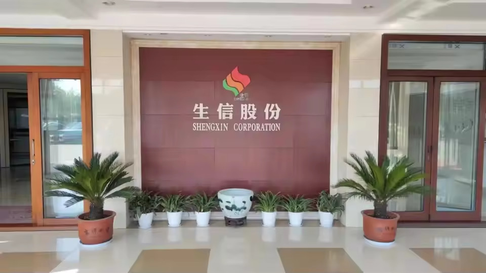 China ANHUI SHENGXIN  CORPORATION LIMITED Bedrijfsprofiel