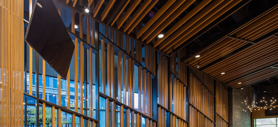 6063-T5 Frame Wood Pattern Building Aluminium extrusie met druk- en trekopening